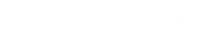 027 SUNGLASSES