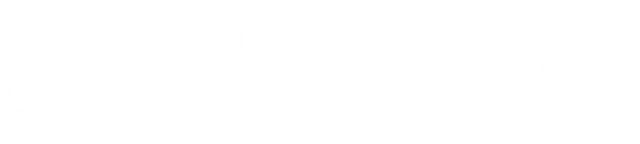027 SUNGLASSES