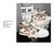 Sapatilhas de skate de couro masculino, sapatos casuais, esportes de corrida ao