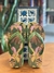Chinelo Army Farm - comprar online