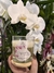 Vela Aromática Orquídea Oriental na internet