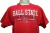 Camiseta masculina - Champion - Cardinals - Large - Original - Nova!! na internet