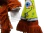 Imagen de Cachecol Bob Sponja - 1,40x18 cm