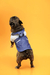 Jardineira Jeans para cães e gatos | Emporium Distripet - Why Dog