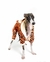 Macacão Tigre para cães e gatos | Emporium Distripet - Why Dog
