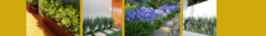 Banner da categoria PLANTAS PARA BASE DE MUROS E PAREDES 