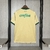 Imagem do PALMEIRAS III 24/25