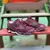 Mizuno Wave Prophecy 9 Vinho