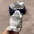 Mizuno Wave Prophecy LS cinza/Bege - Preto Store