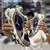 Mizuno Wave Prophecy Beta Bege/Azul - comprar online