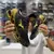 Mizuno Wave Prophecy 8 Preto/Dourado - comprar online