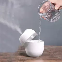 Imagem do Umidificador De Ar Egg Led