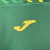 Camisa Norwich II 23/24 - Torcedor Joma Masculina - Verde com detalhes em amarelo - CAMISAS DE FUTEBOL, CAMISAS DE BASQUET E ARTIGOS ESPORTIVOS | L&L FUT SPORT
