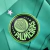 Image of Camisa Palmeiras Edição Especial 23/24 Torcedor Masculina - Verde com tons claros e escuros