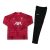 Conjunto Liverpool Treino 23/24 - Masculino Nike - Vermelho on internet