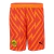 Shorts Borussia Dortmund Goleiro II 23/24 - Masculino Puma - Laranja