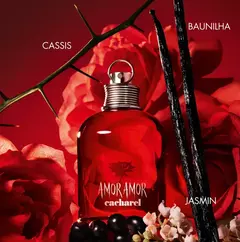 Amor Amor Cacharel Eau de Toilette - Perfume Feminino 100ml - loja online