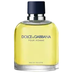 Pour Homme Dolce & Gabbana Eau de Toilette - Perfume Masculino 125ml - comprar online