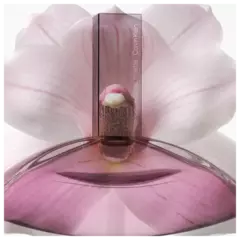 Euphoria for Women Calvin Klein Eau de Toilette - Perfume Feminino 100ml - Gel Cosméticos