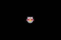 Banner da categoria Bragantino