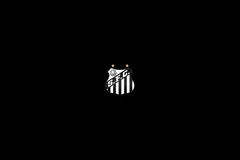 Banner da categoria Santos