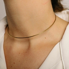 Choker Bari