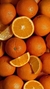 Naranja de ombligo - VJR Vivero y Jardineria Romero