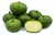 semilla de zapallito verde