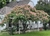 acacia constantinopla en internet