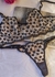 Conjunto de Luxo