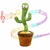 Juguete cactus