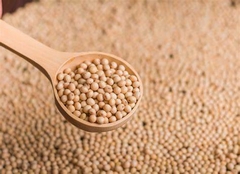 Poroto soja 300gm