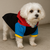 Roupas Pet Capus Boné - comprar online
