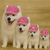 Bonés Lady Pet Produto Pet Influencer - comprar online