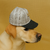 Bonés Pet Produto Pet Influencer - comprar online