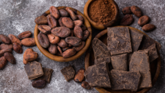 Banner de la categoría Barras de Cacao Funcionales