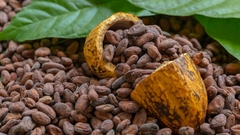 Banner de la categoría Cacao Caliente