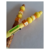 Lapicera 4 Colores Capybara - comprar online