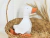 Patinho de pelúcia M (22cm) - Atelier Jane Cunha | Presentes para bebês