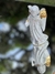 Anjo da guarda - comprar online