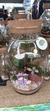 Imagem do Terrário Ipê Grande