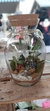 Terrário Ipê Grande - comprar online