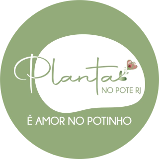 Planta no Pote RJ