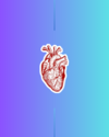 Corazón