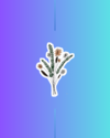 Ramo de Flores