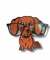 Soporte para lentes en forma de perro salchicha en internet