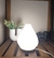 Lampara Tulipa en internet