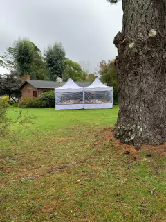 GAZEBOS AUTOARMABLES BLANCOS Y NEGROS - tienda online