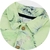 Camisa Infantil Menino Silvestre Verde - loja online