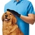 Luva Nano Magnético Tira Pelos Pets Cães Gatos True Touch , Luva Pra Tirar Pelo De Gato. - comprar online